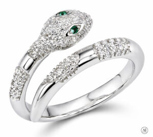 Silberner Ring