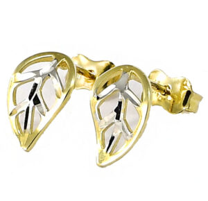 Gold-Ohrringe